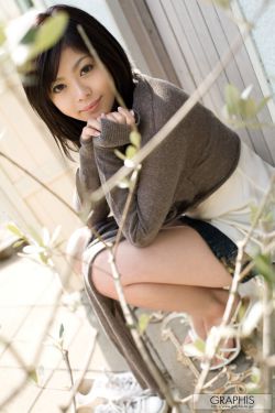 篱笆女人和狗剧情