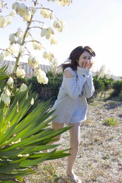 难寻 电视剧